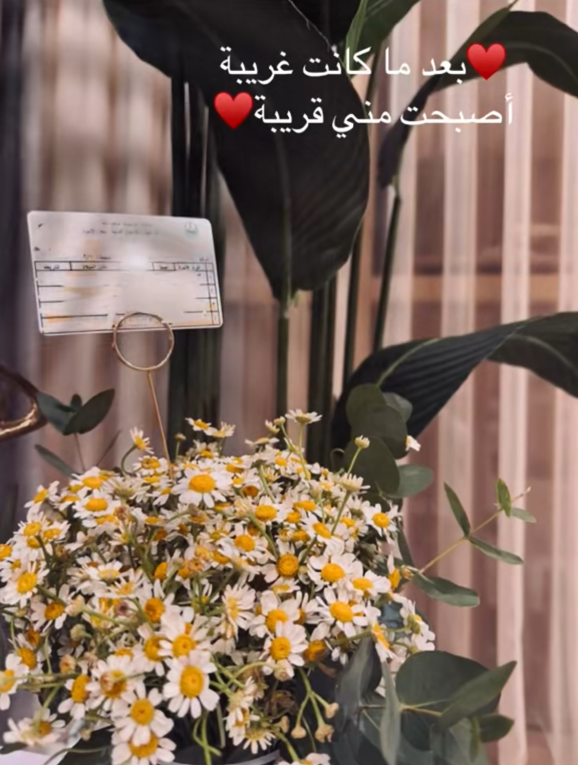 حالات نجاح